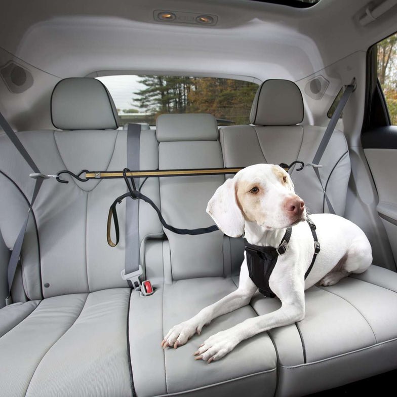 Auto Zip Line for Dogs - Out There Vans, LLC