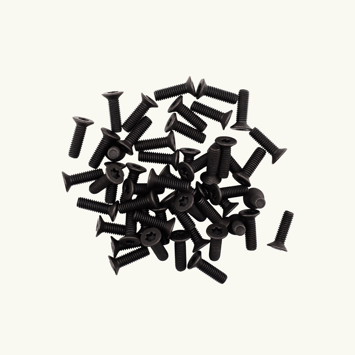 Venture L - Track M6 Machine Screws - Out There Vans, LLC