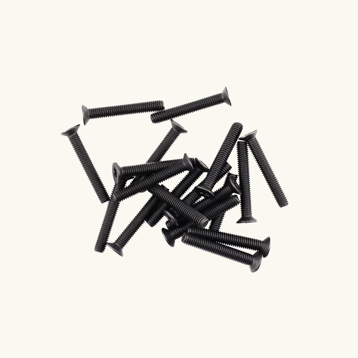 Venture L - Track M6 Machine Screws - Out There Vans, LLC