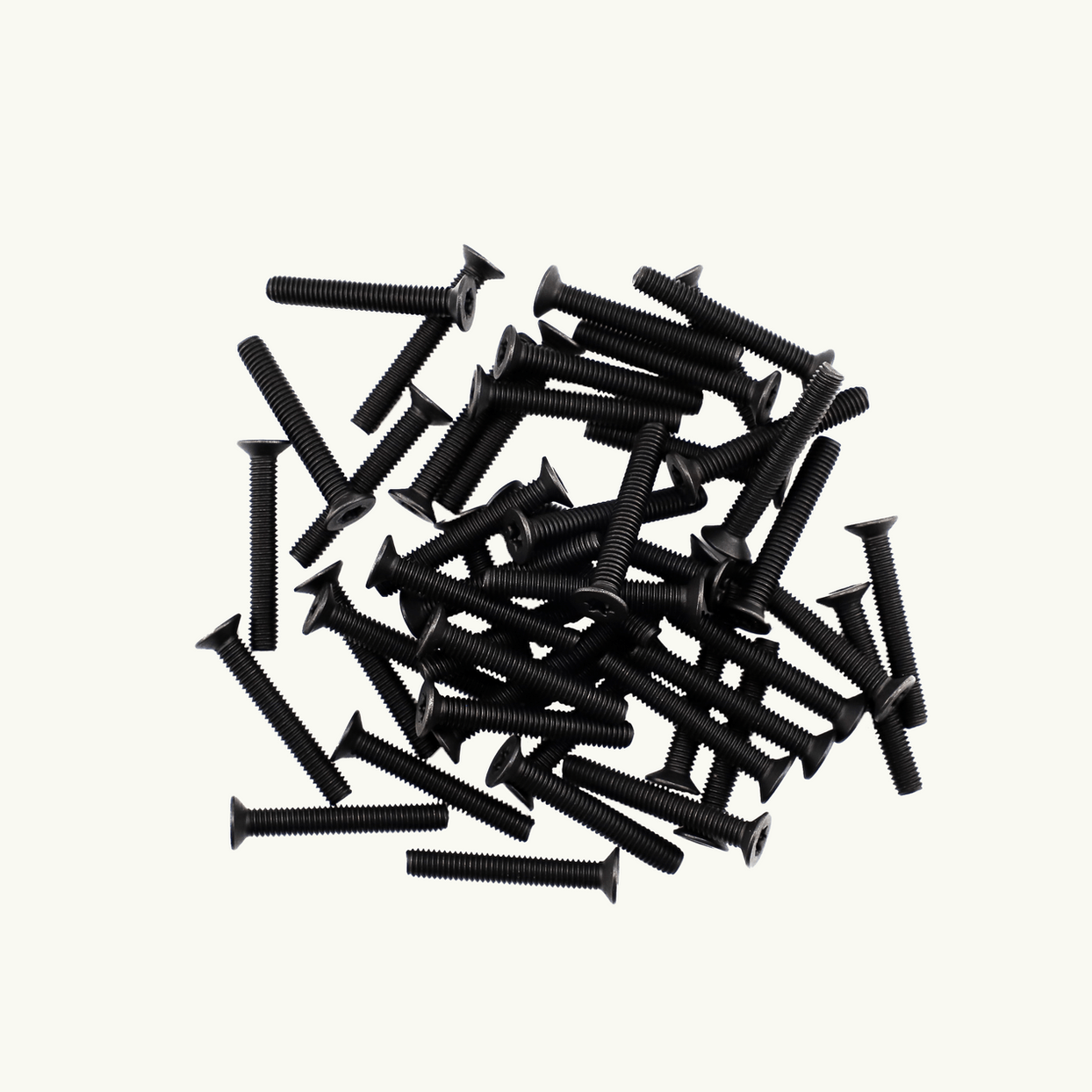 Venture L - Track M6 Machine Screws - Out There Vans, LLC