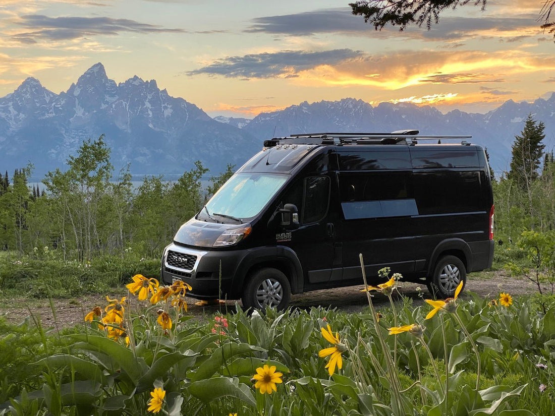 Keep the Bugs Out and the Breeze Flowing: VanEssential Bug Screen Guide - Out There Vans