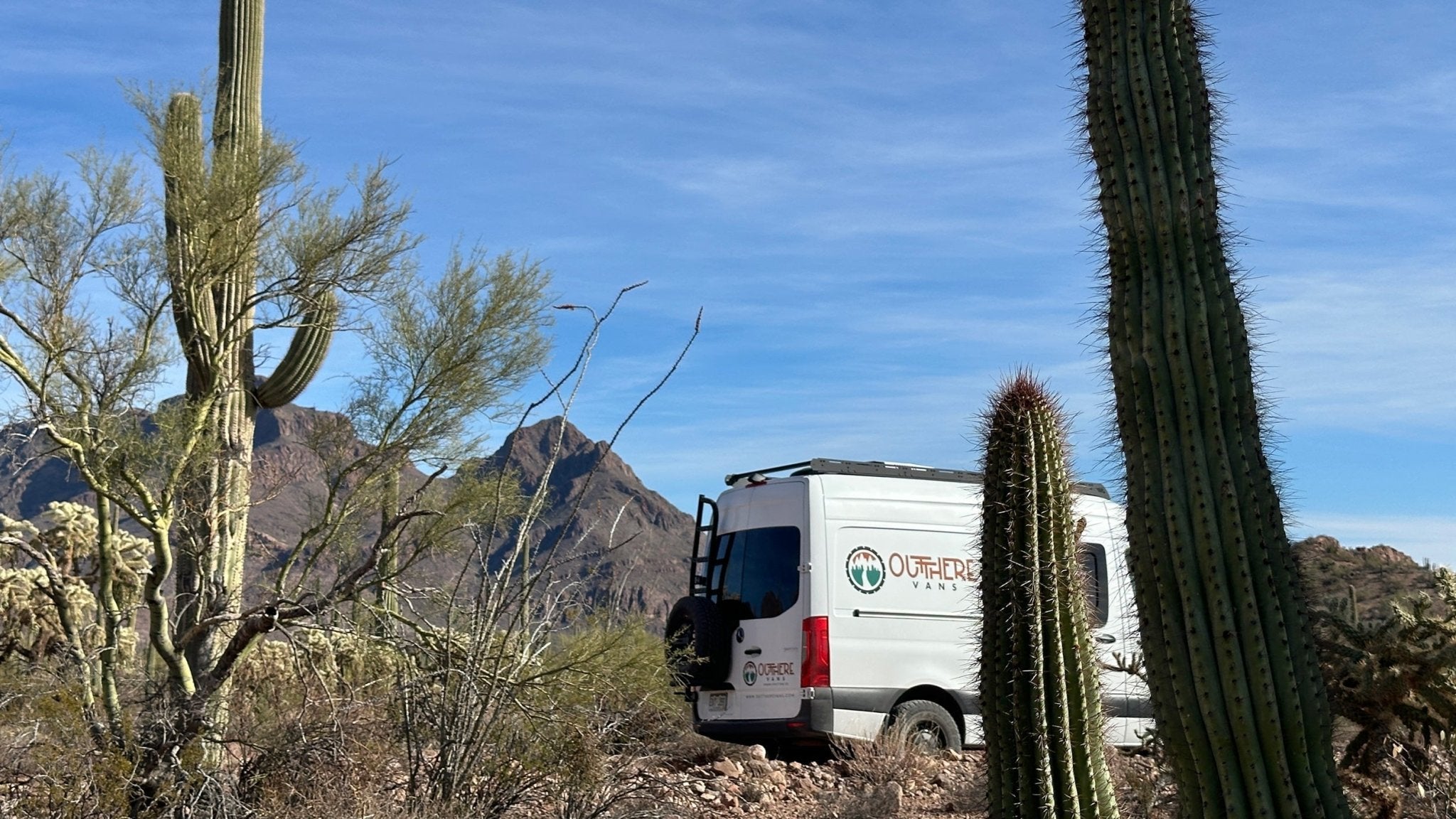 Rear Door Ladder & Tire Carrier: Do You Need One for Your Van? - Out There Vans, LLC