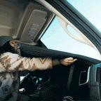 VanEssential Mercedes Sprinter Stealth Front Windshield Cover