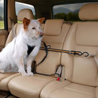 Auto Zip Line for Dogs - Out There Vans, LLC