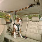 Auto Zip Line for Dogs - Out There Vans, LLC