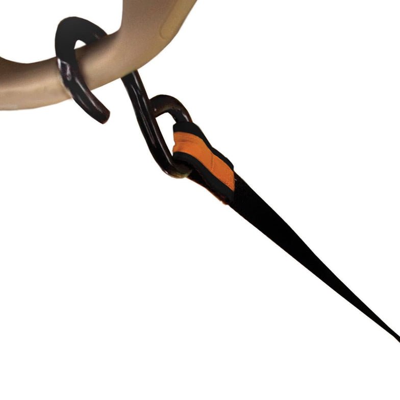 Auto Zip Line for Dogs - Out There Vans, LLC