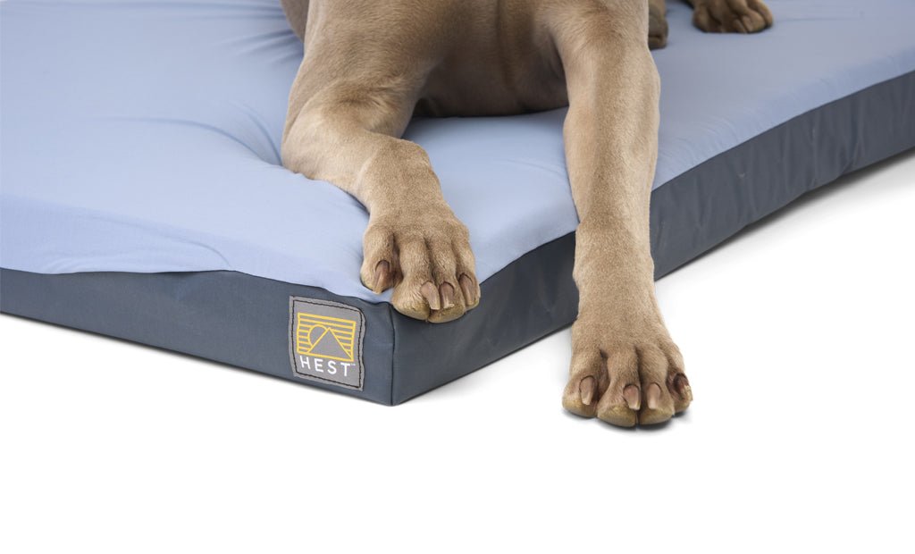 HEST Dog Bed - Out There Vans, LLC