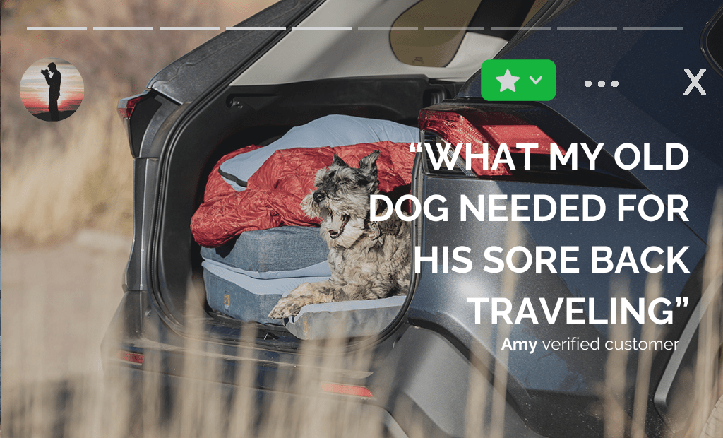 HEST Dog Bed - Out There Vans, LLC