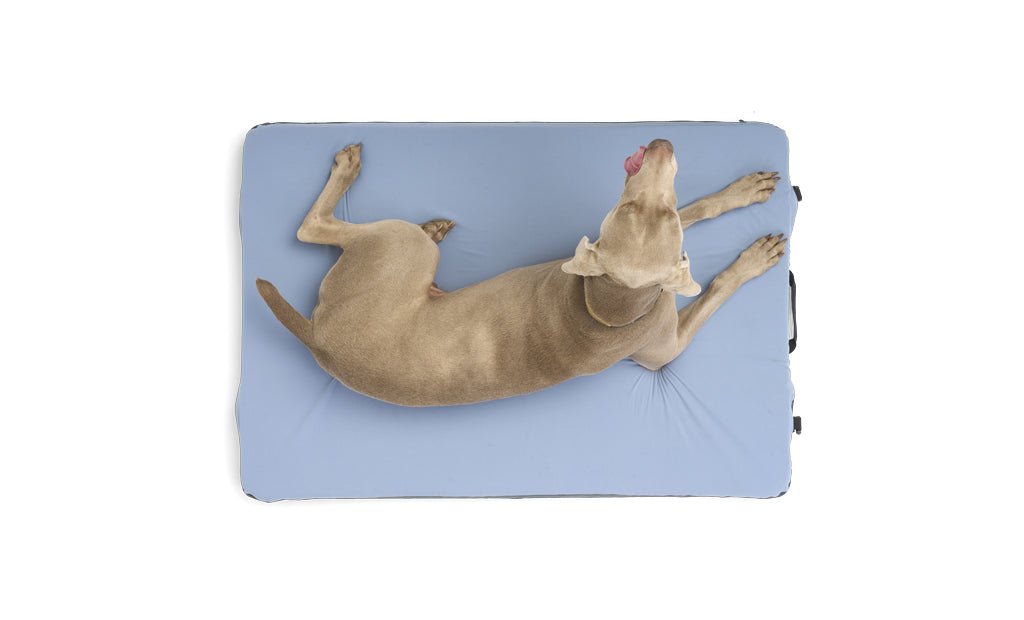 HEST Dog Bed - Out There Vans, LLC