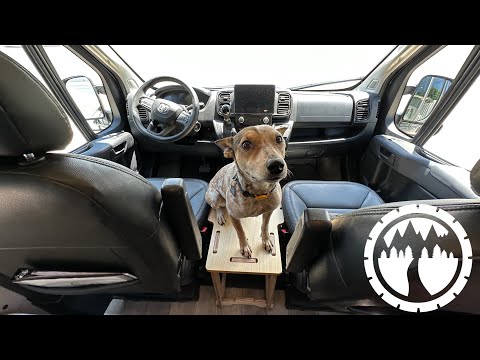 Ford Transit Fitted Dog Cages For Vans Ford Transit Dog Platform