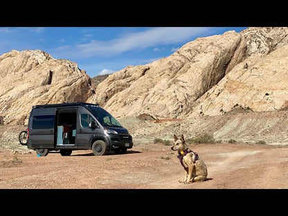 RAM ProMaster Dog Platform