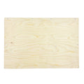 RAM ProMaster 118" Low Roof Lower Sliding Door Panel - Out There Vans, LLC