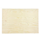 RAM ProMaster 118" Low Roof Lower Sliding Door Panel - Out There Vans, LLC