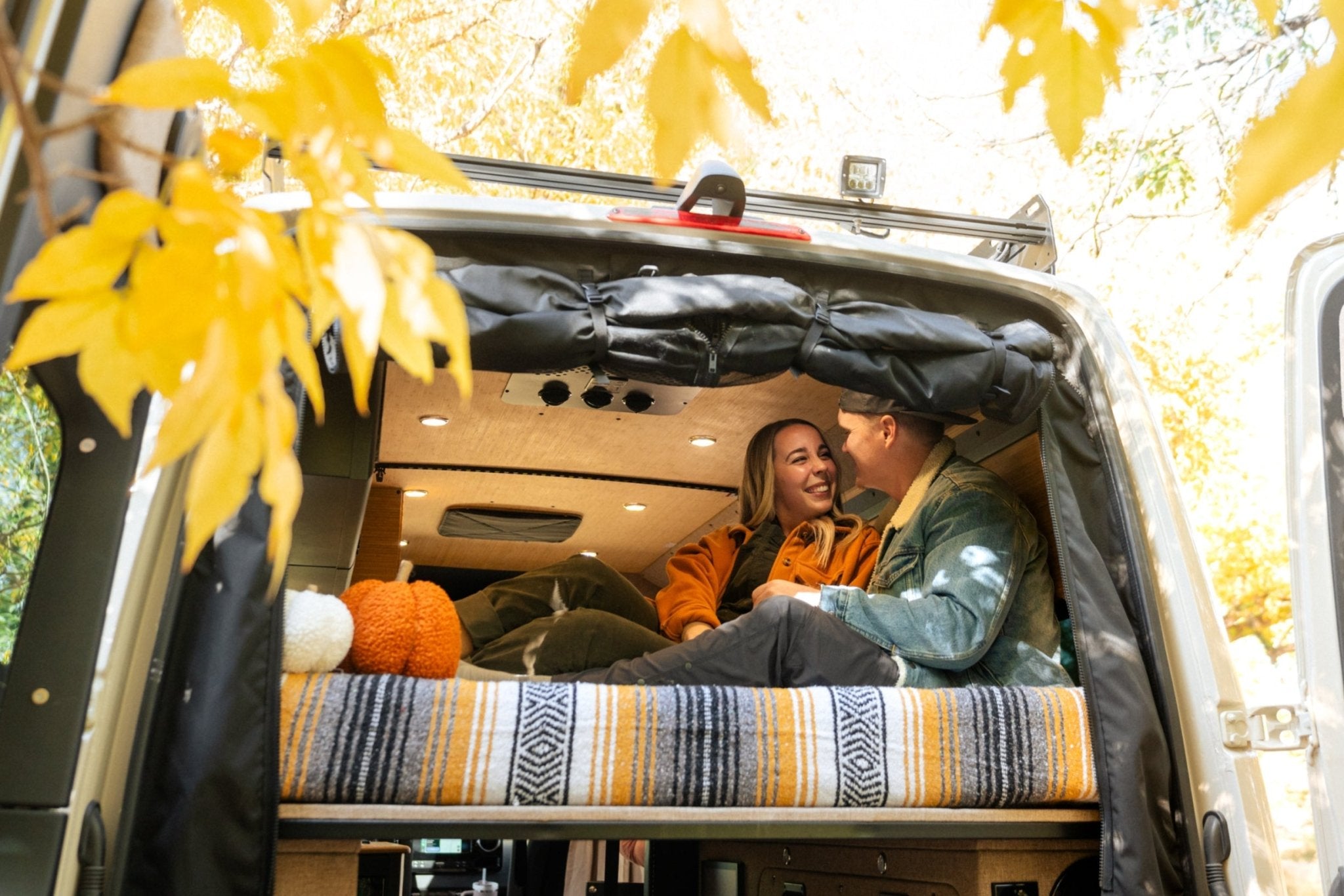 VanEssential Mercedes Sprinter Bug Screen - Rear Door - Out There Vans, LLC