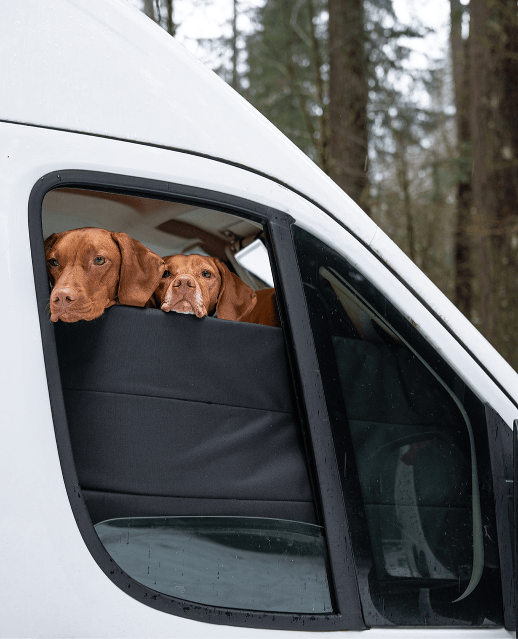 VanEssential RAM ProMaster Stealth Front Door Window Covers (Pair) - Out There Vans, LLC
