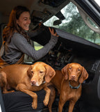 VanEssential RAM ProMaster Stealth Front Windshield Cover - Out There Vans, LLC