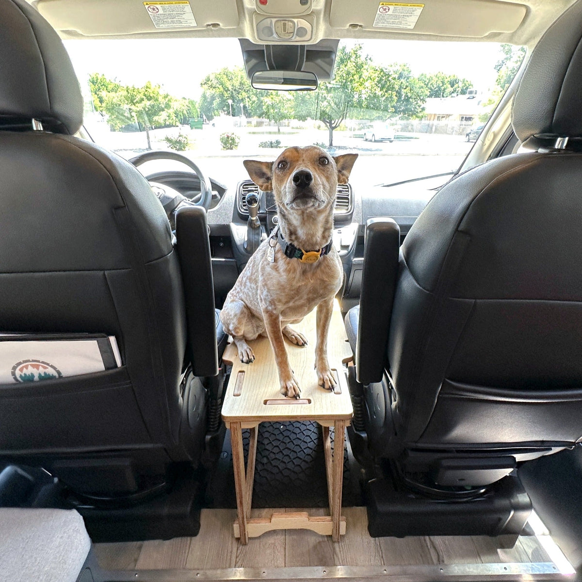 Photo inspiration: Visual Reference: Out There Vans Ram Promaster Dog Platform