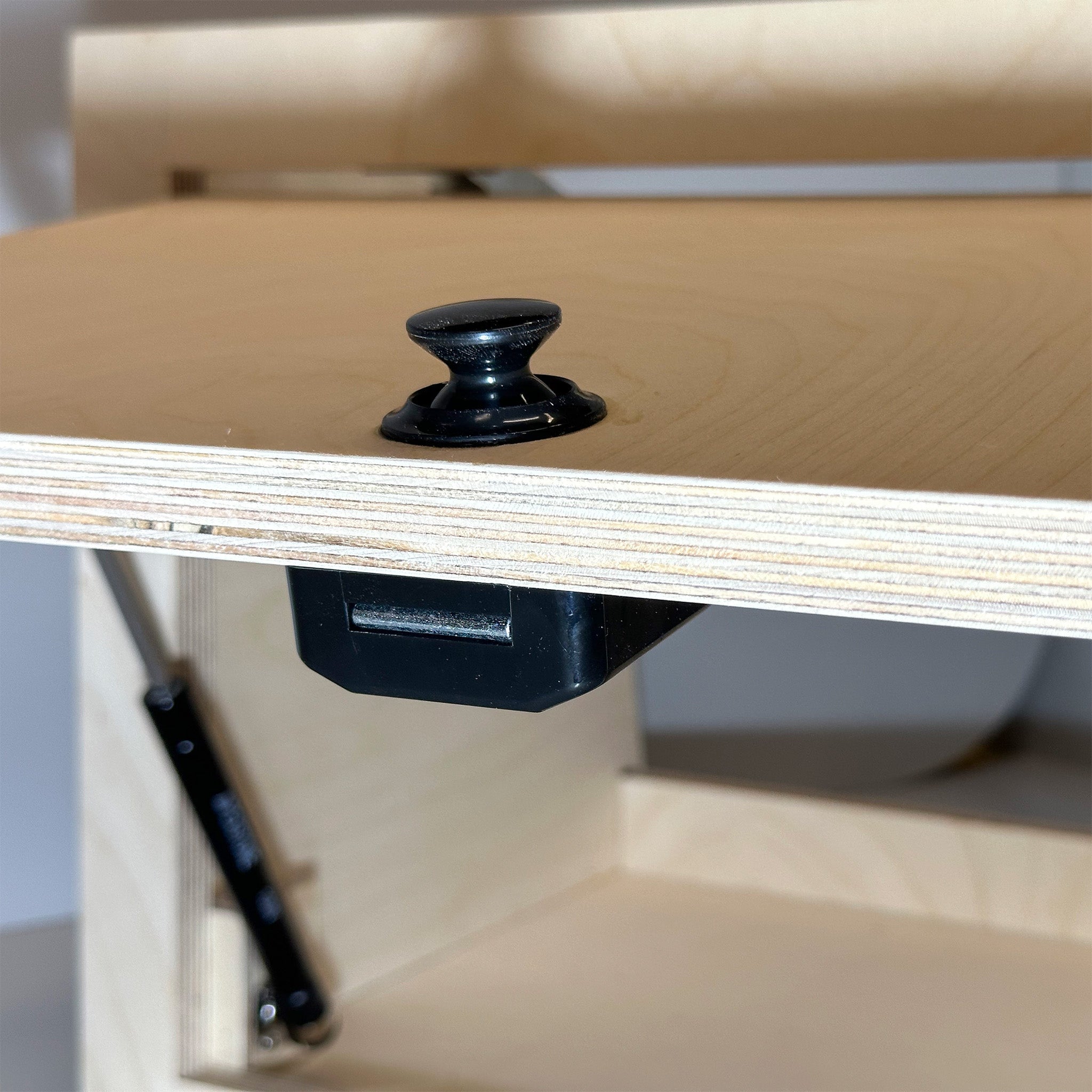 ProMaster Cabinets – Out There Vans, LLC